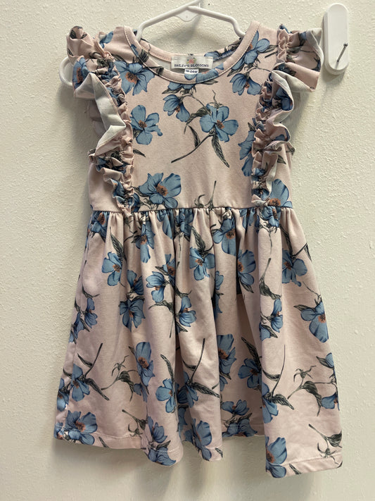 18/24m Baileys Blossoms Powder Pink + Blue Flower Dress